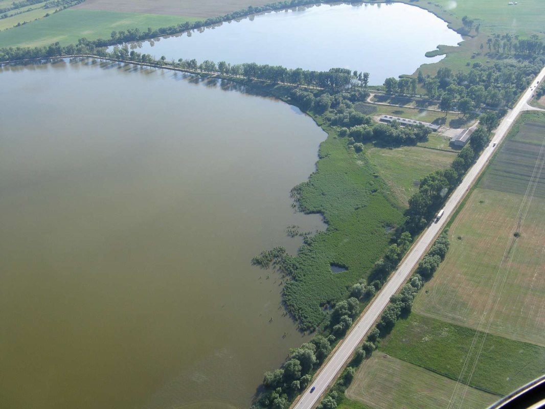 Narodenie dieťaťa v zahraničí: Matrika, získanie občianstva a pasové náležitosti