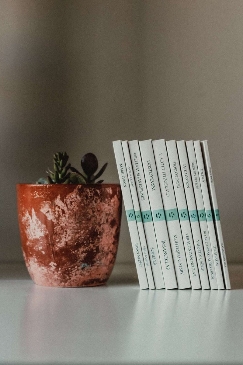 Riadenie kapitálu a likvidity: Optimalizácia zdrojov