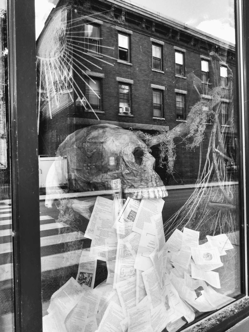 Športové kluby a výkonnostné poistenie: Typy a zodpovednosť