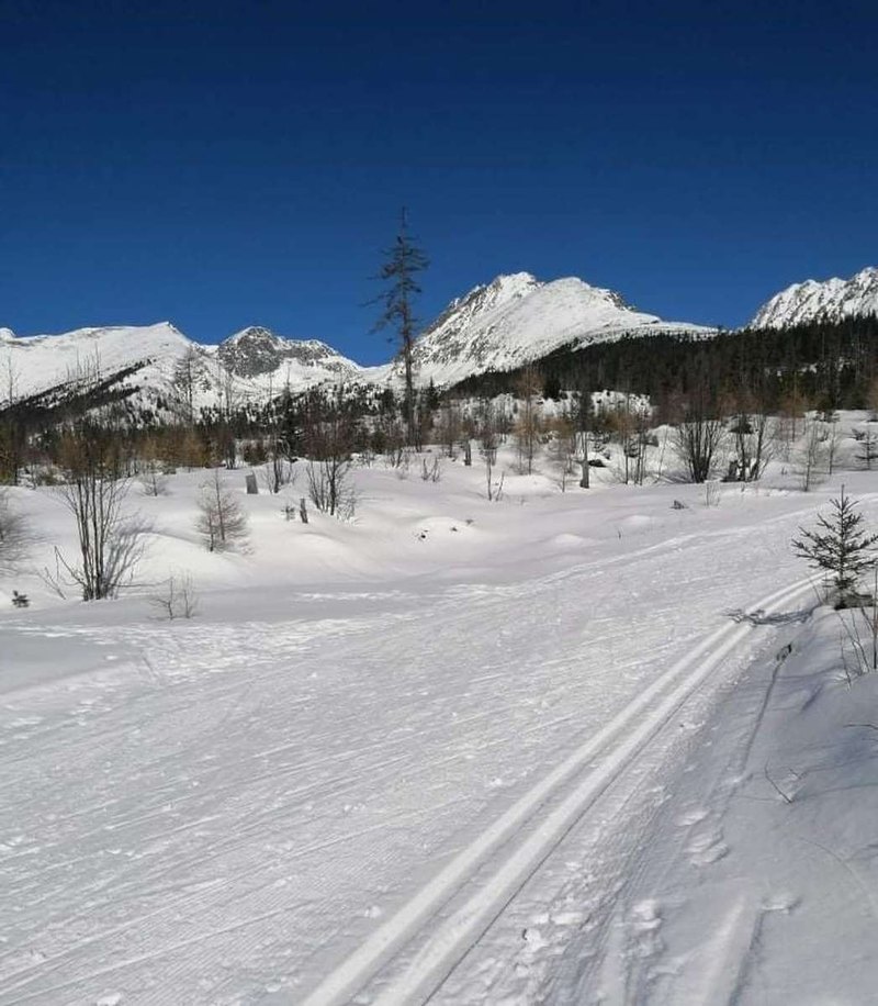 Deepfakes a nepravé profily: Detekcia a protokoly nahlasovania