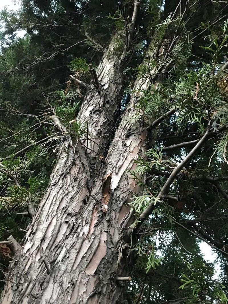 Exit-strategie investičnej nehnuteľnosti: Predaj s nájomníkom, bez alebo refinancovanie