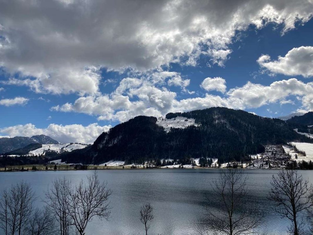 Obchodné podmienky, všeobecné obchodné podmienky