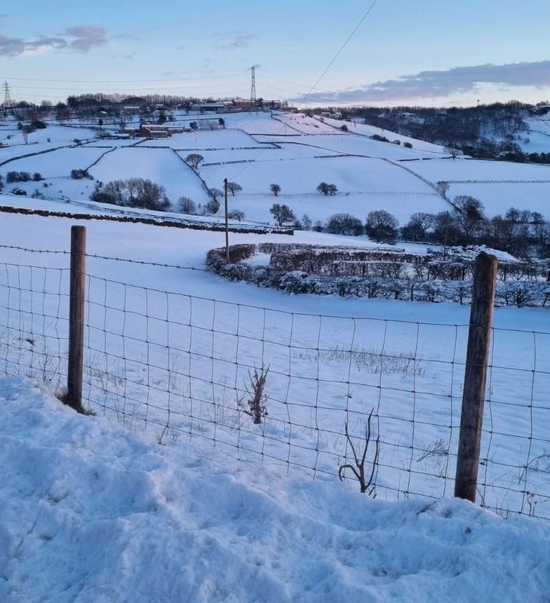 Obežný (krátkodobý) majetok