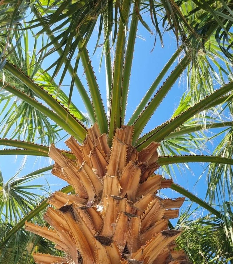 Rekurzívna sústava