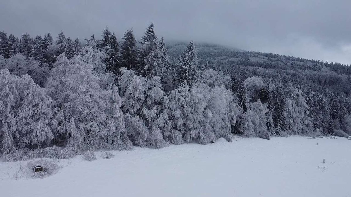 Proces výberu zamestnancov a ľudské zdroje