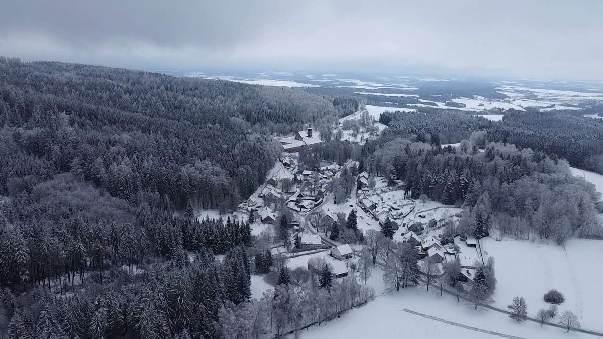 Cestovanie so zvieratami: dopravné pravidlá a ubytovanie