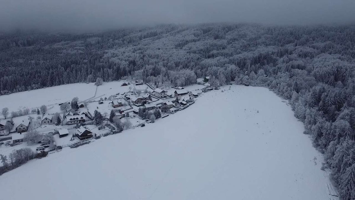 Globálne stratégie: Typy globálnych obchodných stratégií