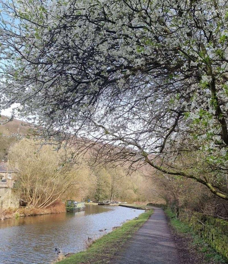 Emisie cenných papierov a poradenstvo pri fúziách: IPO a akvizície