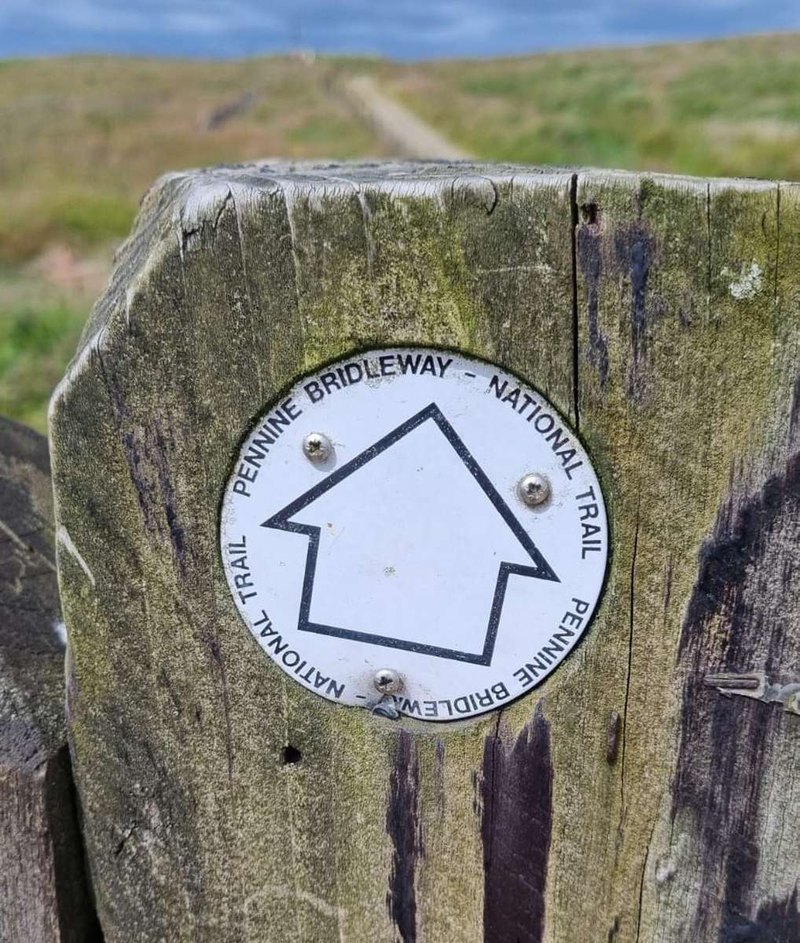 Monitorovanie zamestnancov