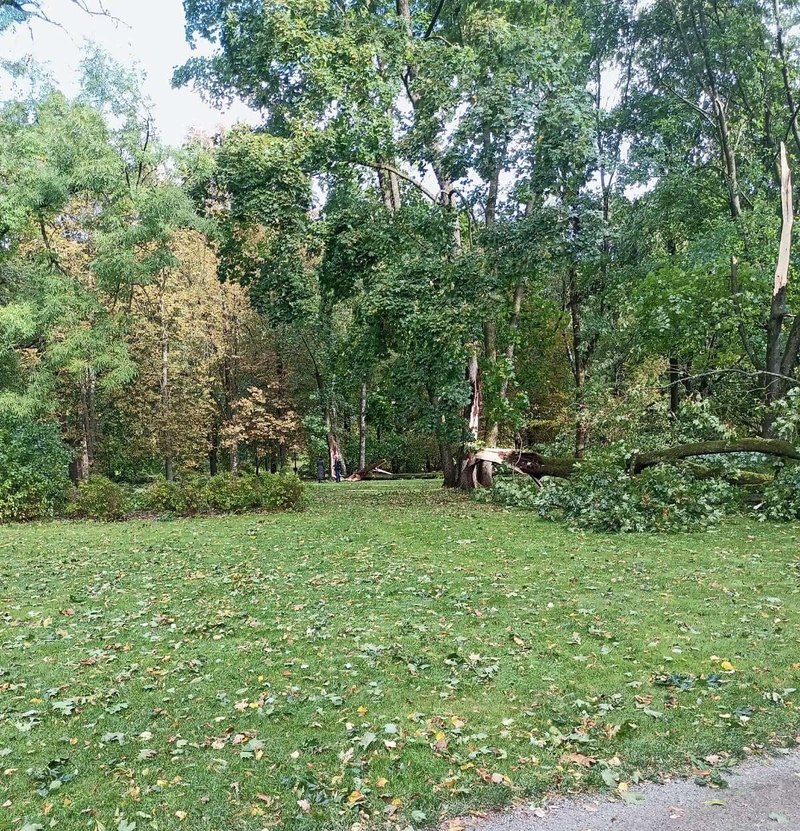 Základné mýty o skille v kasíne (blackjack, ruleta, automaty)