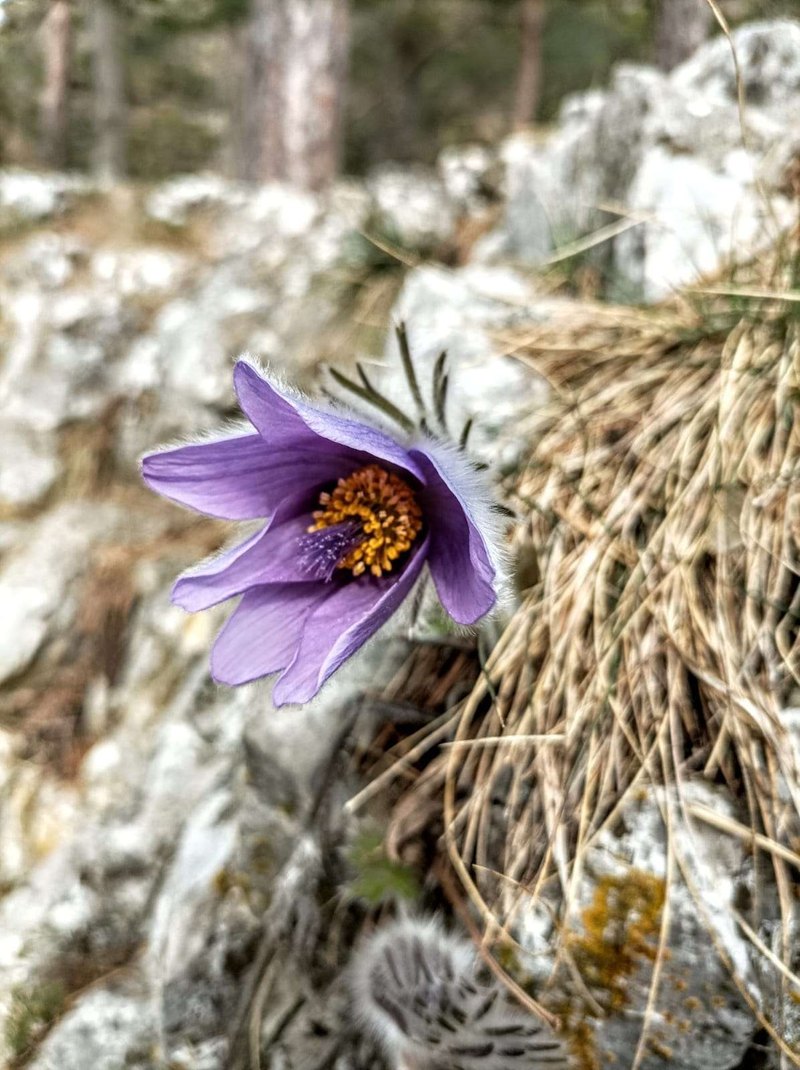 Študijné programy: Bakalárske, magisterské, doktorandské štúdium