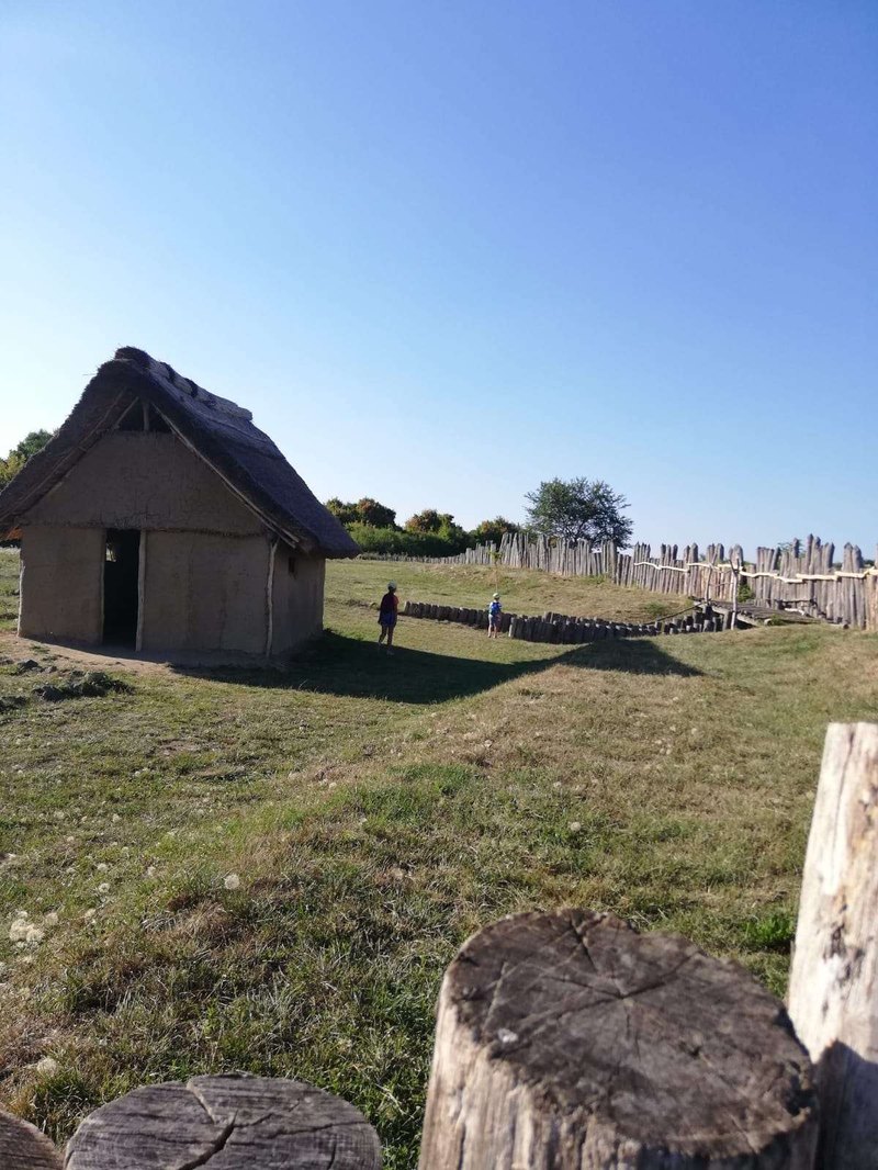 SWOT pre realitný projekt