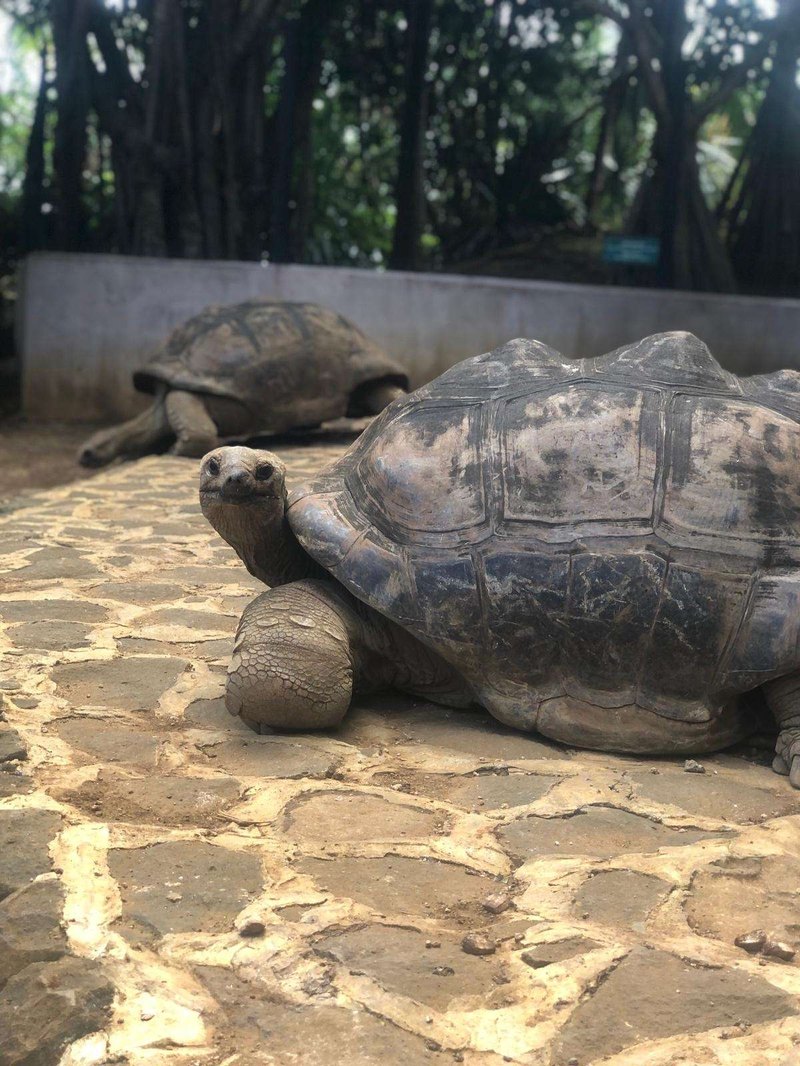 PPC – Pay per click – platba za kliknutie