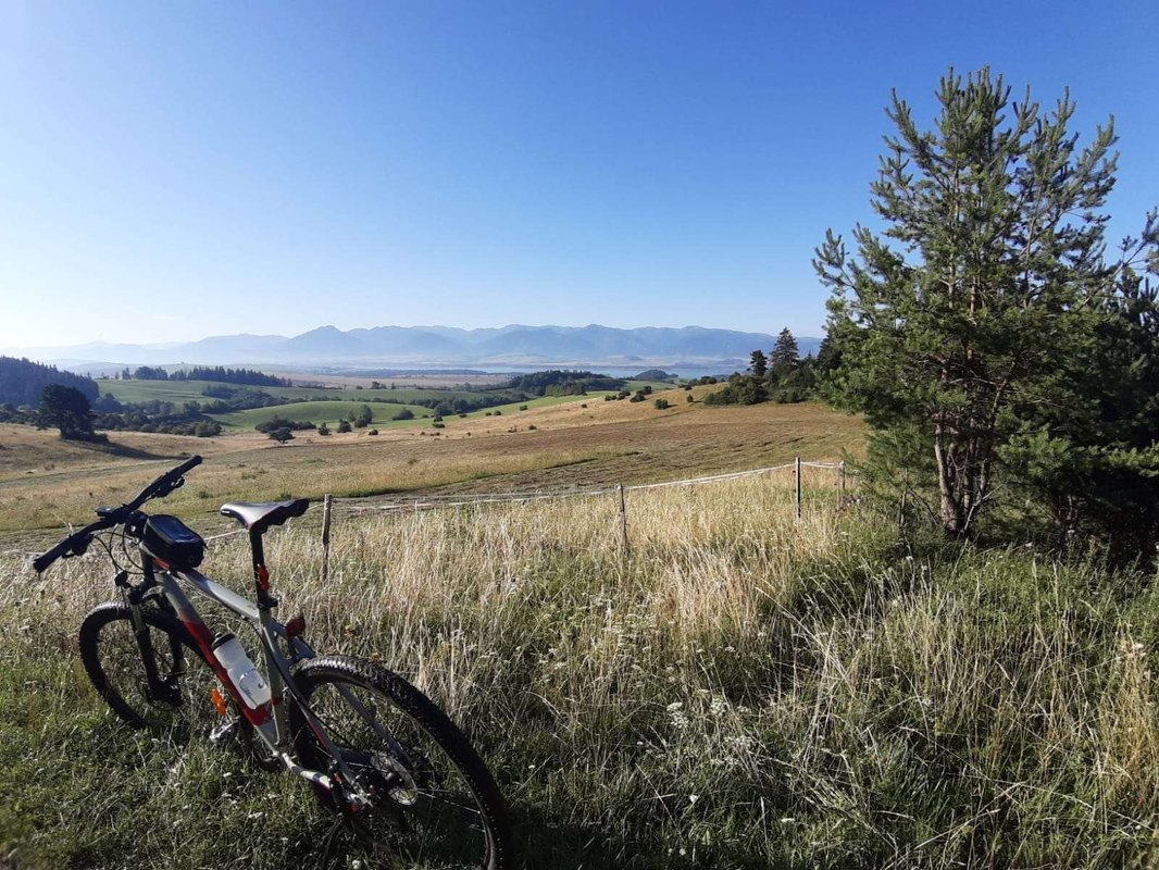 Ako si viesť úverový denník: Sledovanie splátok, dátumov a finančných cieľov