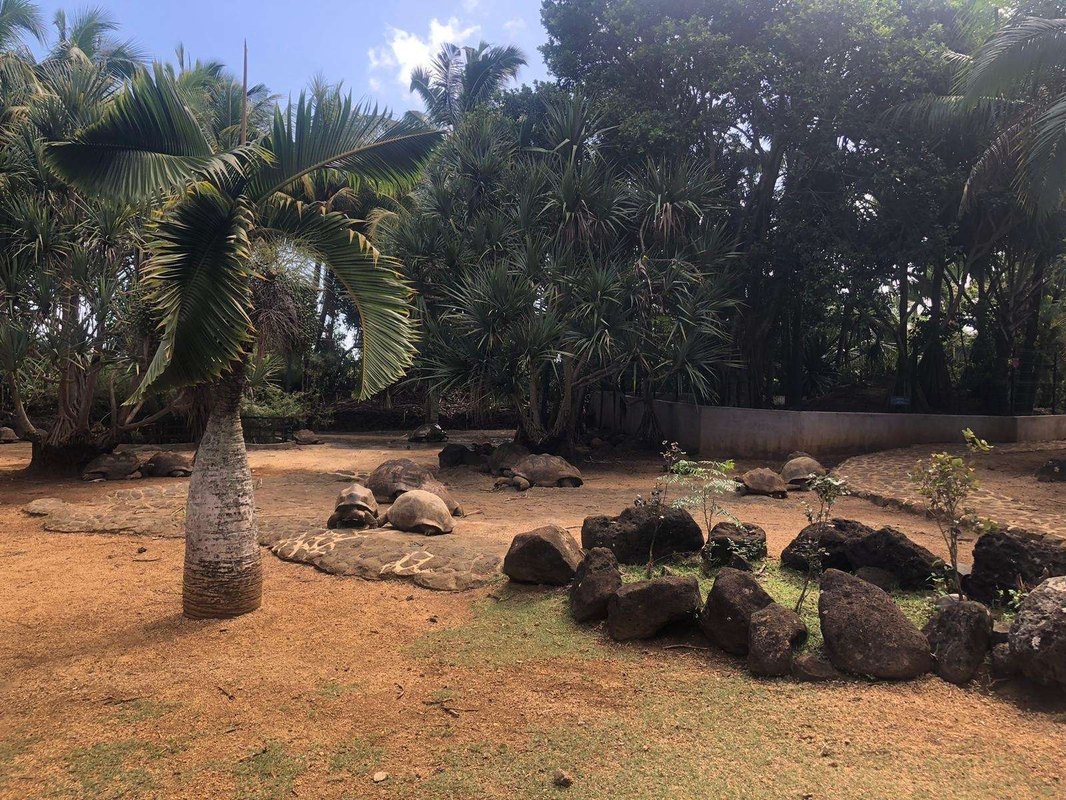 Generické stratégie: Nákladové vedenie, diferenciácia a fokus v praxi