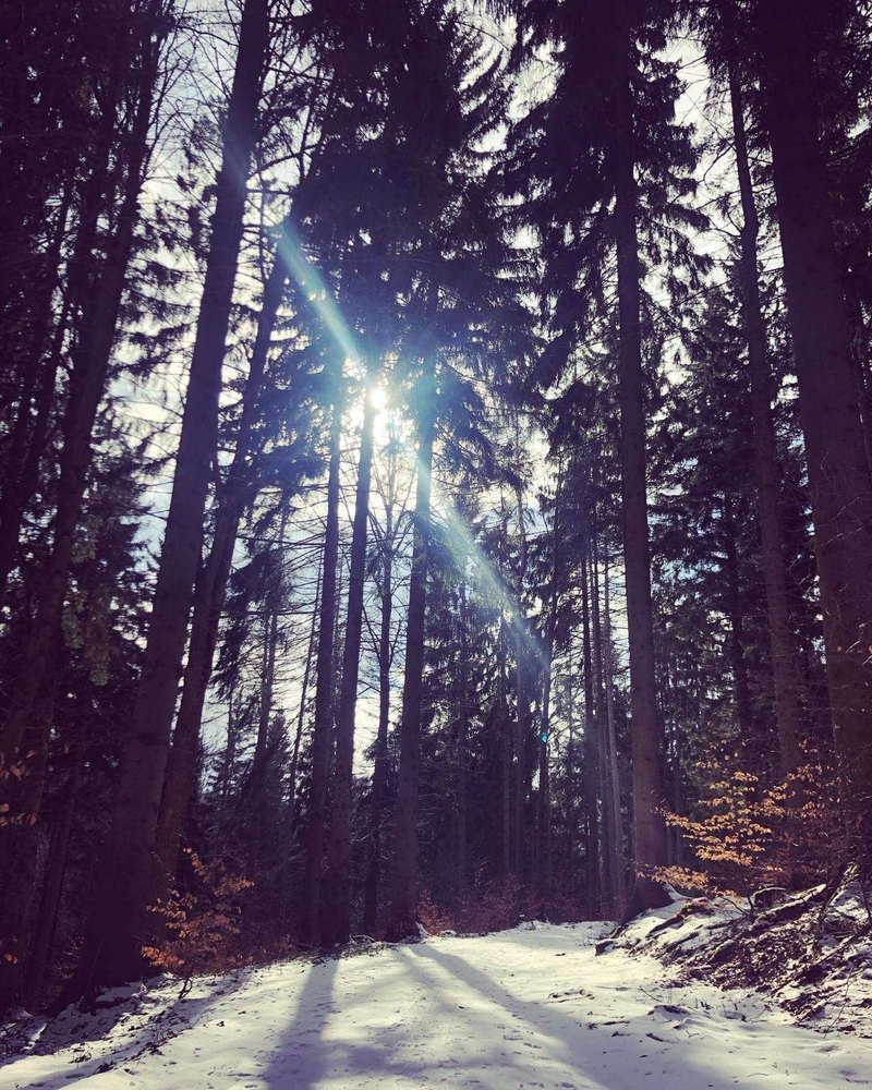 Škodlivé affiliate schémy