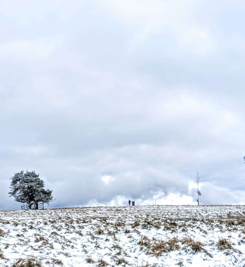Poistenie prenajímateľa: zodpovednosť, prenájom, výpadok príjmu