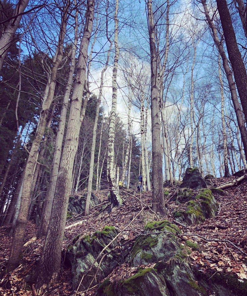 Interné a externé zdroje financovania