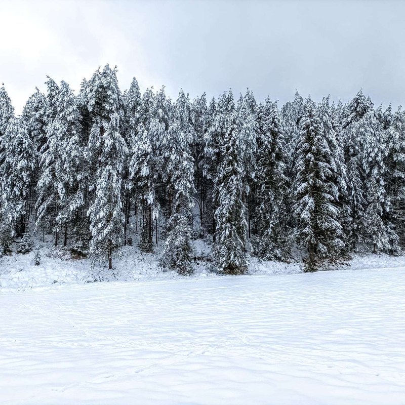 Kontrola výpisov: nechcené poistenia a poplatky