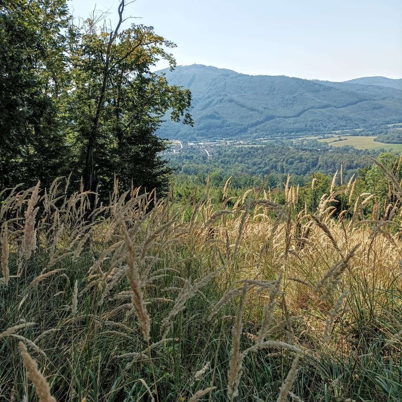 Dovoz auta zo zahraničia: registrácia, daň, poistenie