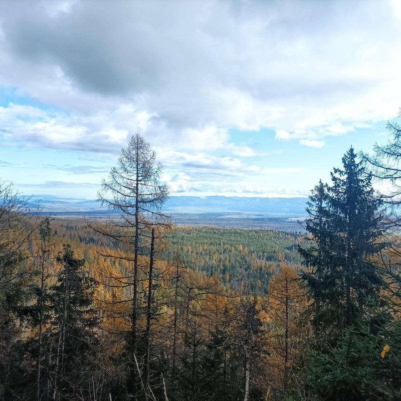 Kontrola dodržiavania: Audity mzdovej politiky – Frekvencia a rozsah