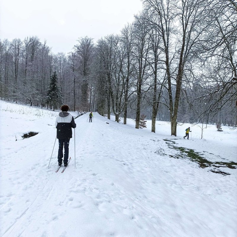 Limity ukazovateľov