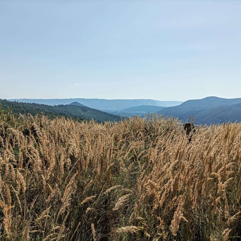 Automatické testování a nasazení aplikací