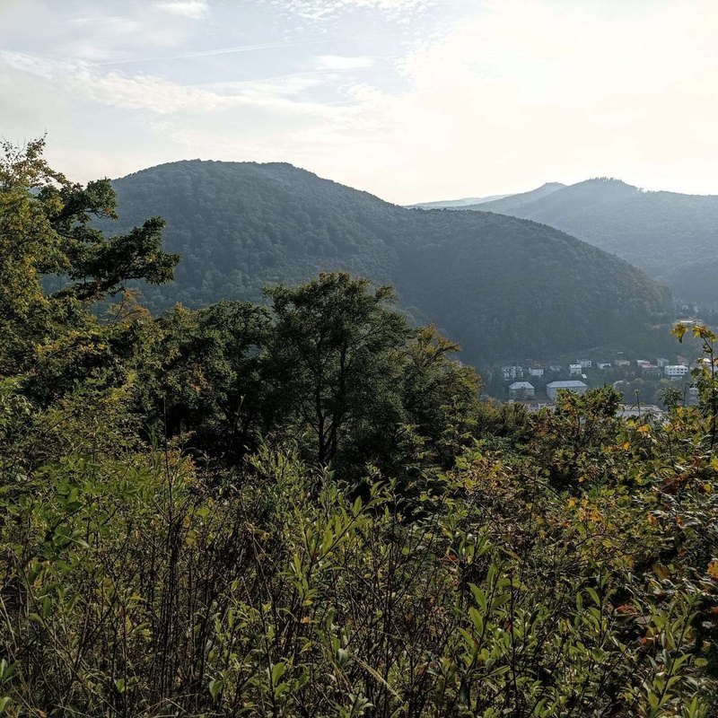 SaaS: Produkt, ktorý beží sám