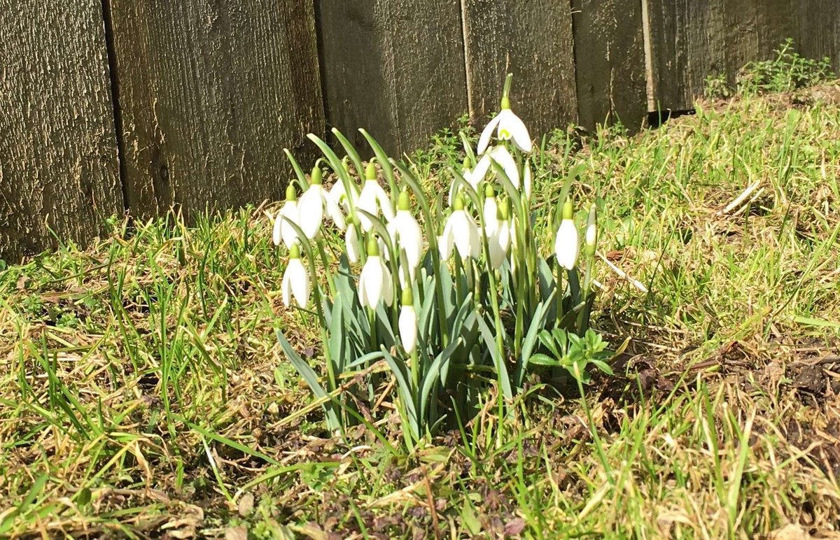 Sprostredkovateľ vs. poradca: konflikt záujmov a zverejnenie informácií