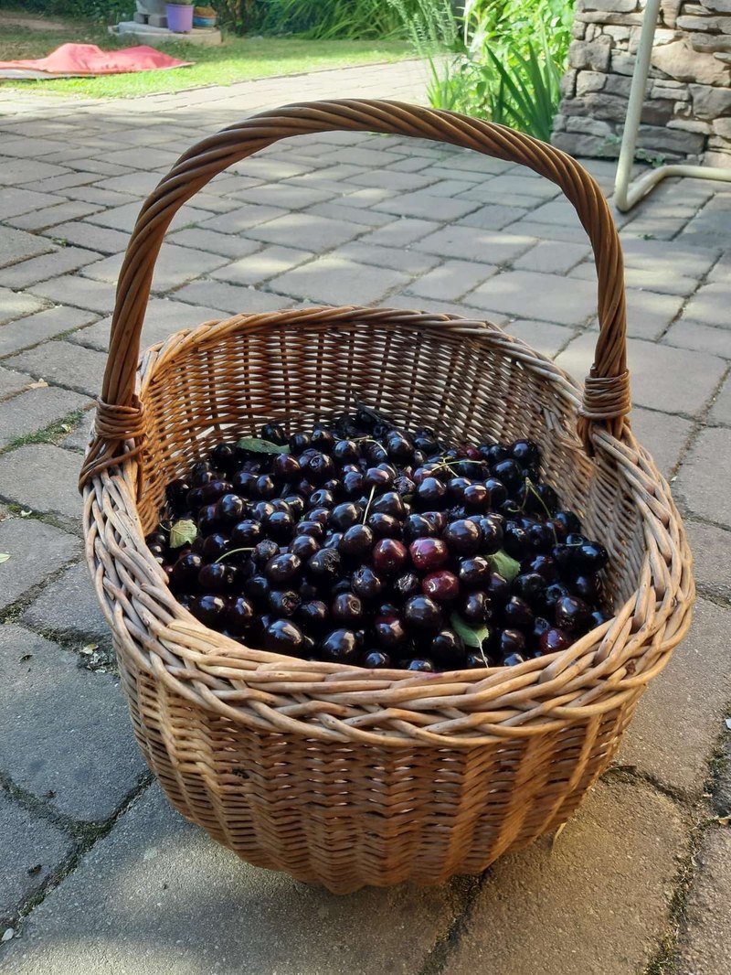 Rozdiel medzi komerčnou a investičnou bankou