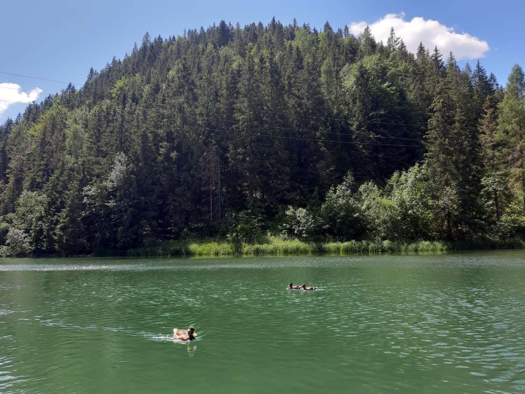 Slovenská kancelária poisťovateľov