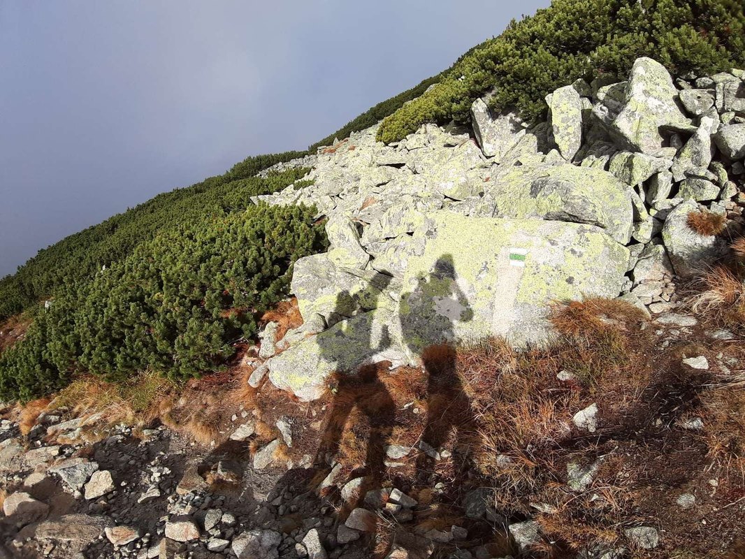 Komerčné verzus kartové poistenie: Hĺbková komparácia a výber optimálneho riešenia