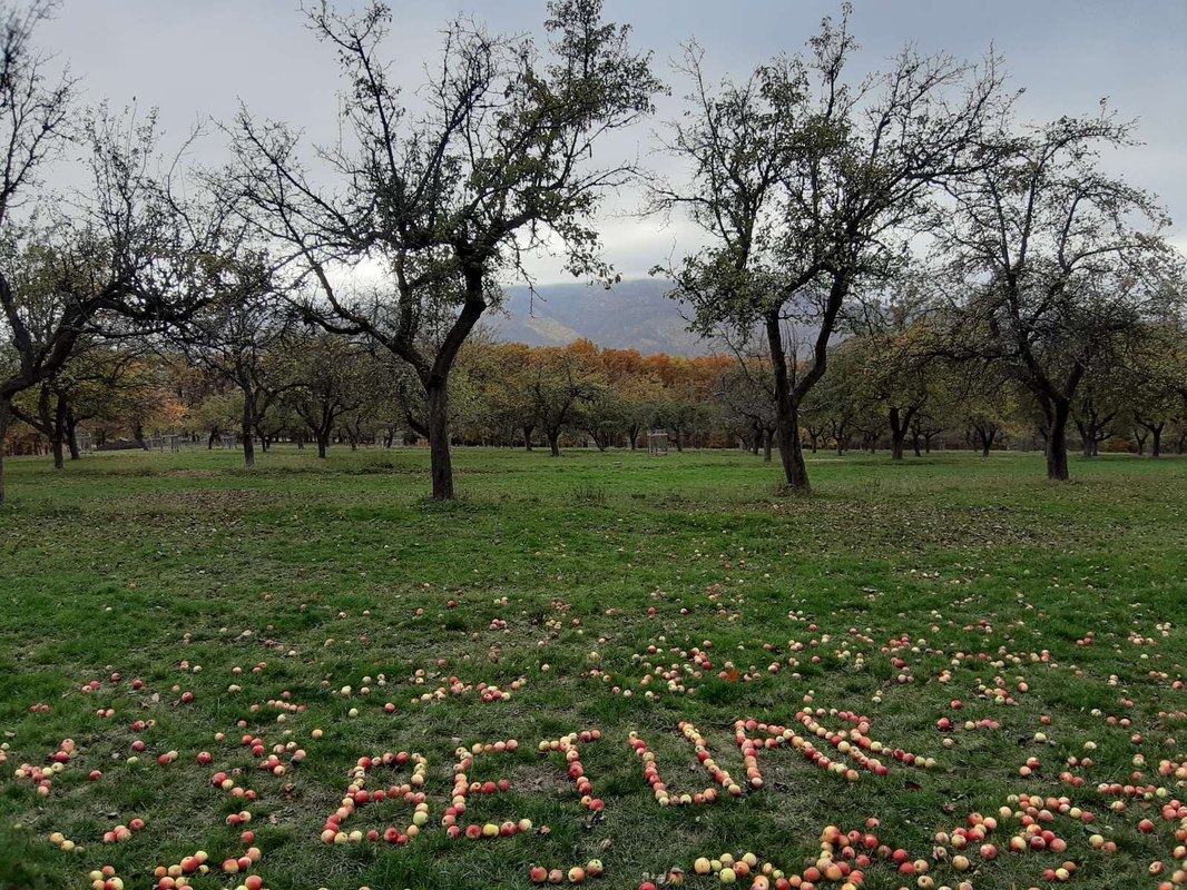 Prevádzková činnosť poisťovne