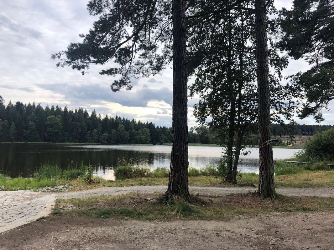 Trendy globálnych trhov