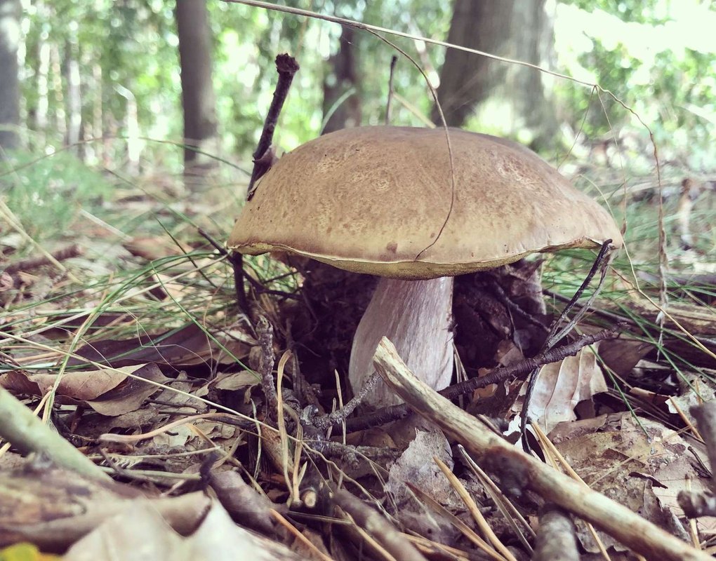 Flexibilita ako konkurenčná výhoda