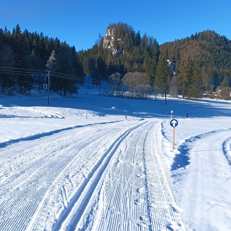 Geografický arbitráž životných nákladov: pre a proti