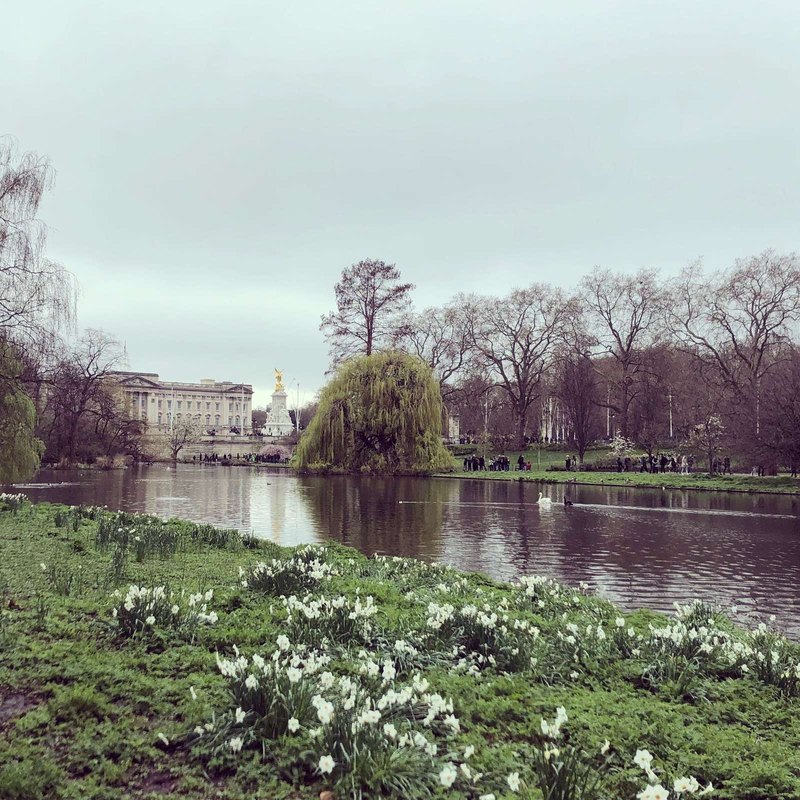 Čo je lepšie? Finančný alebo operatívny leasing?