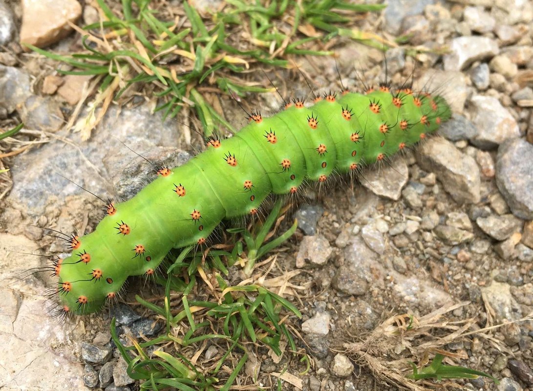 Európske fondy a dotačné mechanizmy: Pravidlá a implementácia