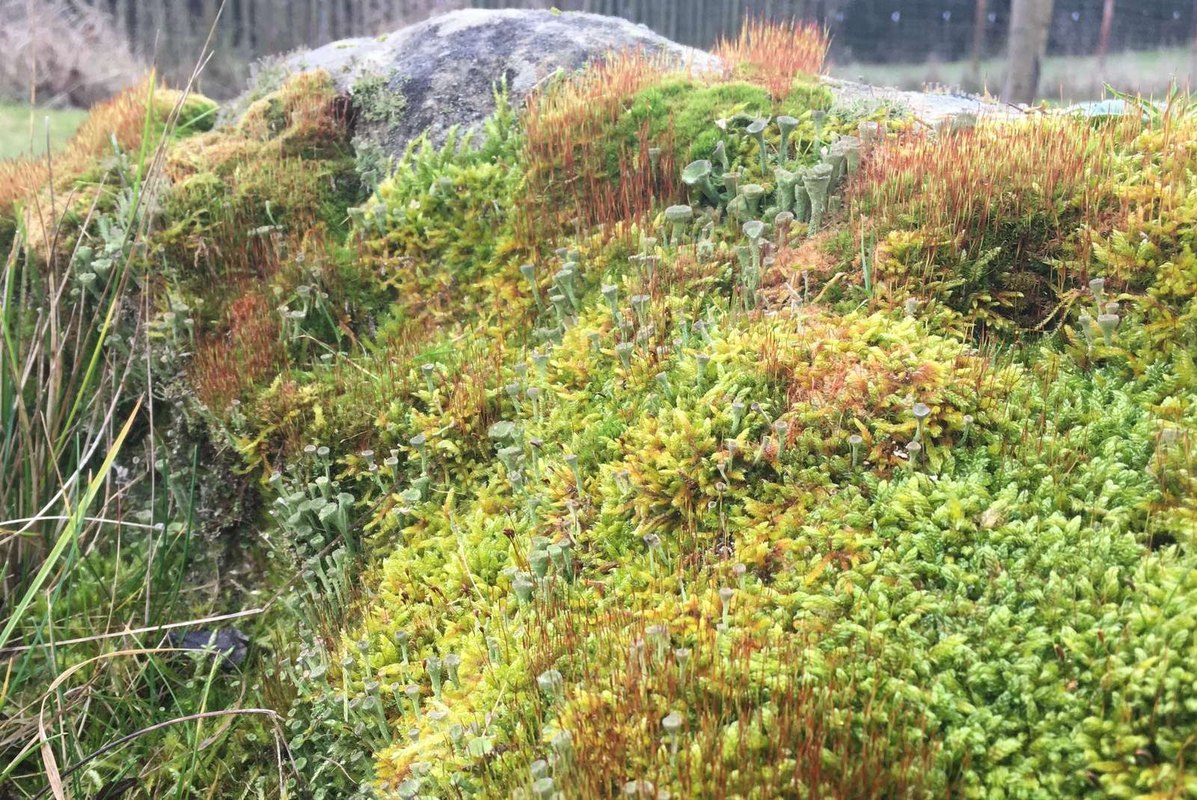 Predinvestičná príprava: Hodnotenie efektívnosti investičných projektov