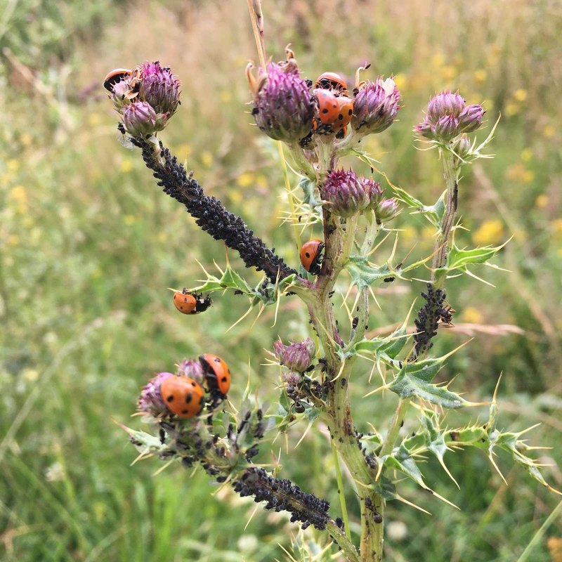 PZP pri zmene vlastníka