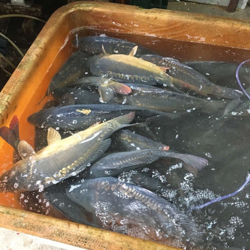 Výkaz ziskov a strát (Výsledovka): Účel a obsah