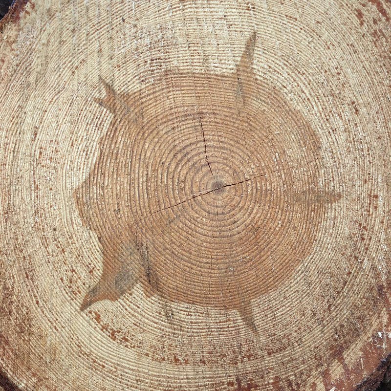 ESIS a predzmluvné info