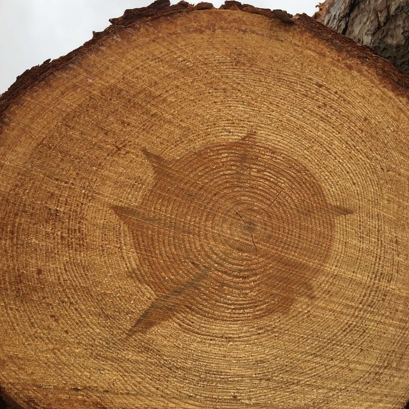 Detekcia Deepfake: Rýchly manuál pre overovanie autenticity vizuálneho a audio obsahu