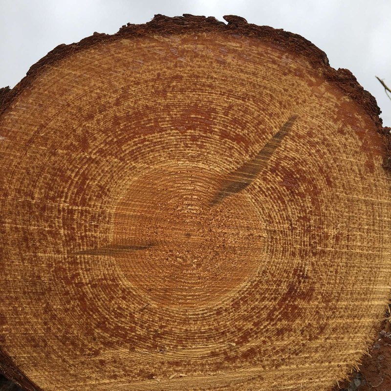 Výkaz o peňažných tokoch (cash-flow): Priama a nepriama metóda