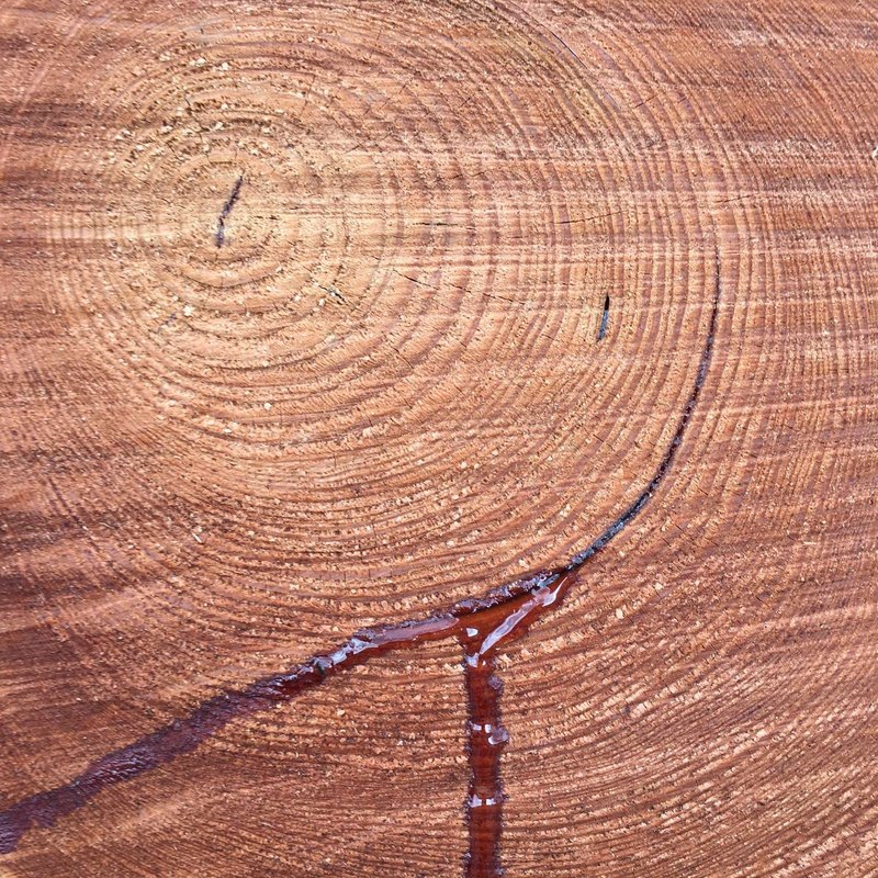 Manažérske rozhodovanie