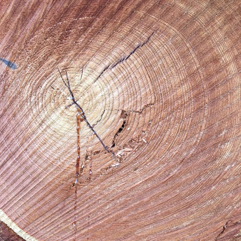 Analýza aktív a pasív v súvahe podniku: Riadenie štruktúry