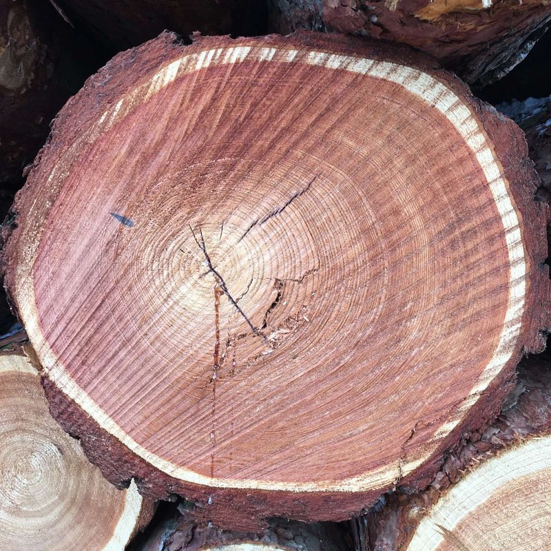 strategické riadenie dopravy