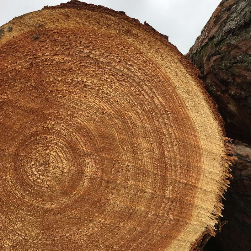 Minimalizmus údajov: zber len toho, čo naozaj potrebujete