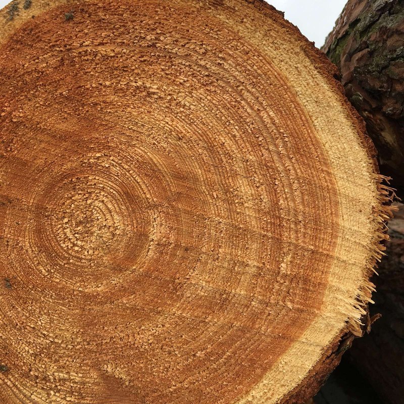 Meranie úspechu inovácií