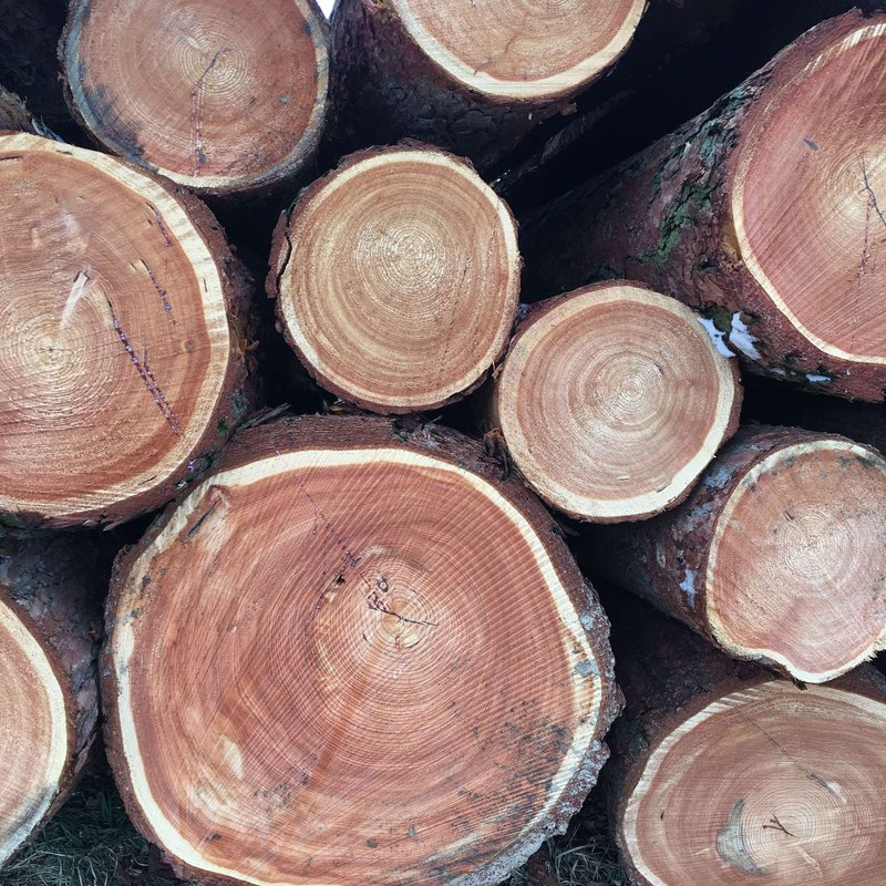 Neobanky: Bankovníctvo bez pultu